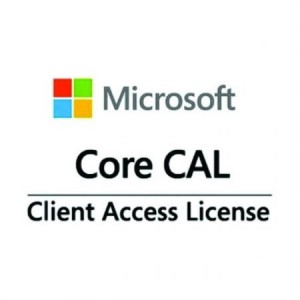 Microsoft Core CALClient Access License - Pemerintah